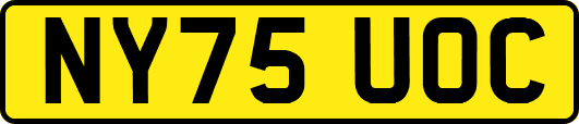 NY75UOC
