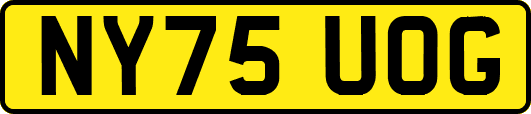 NY75UOG