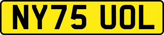 NY75UOL