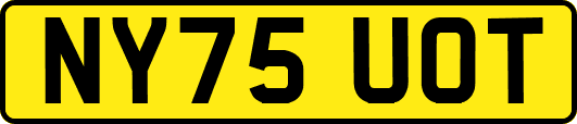 NY75UOT