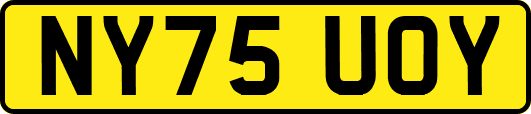 NY75UOY