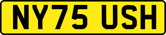 NY75USH