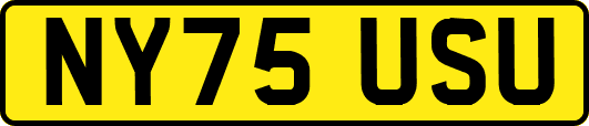NY75USU