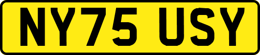 NY75USY
