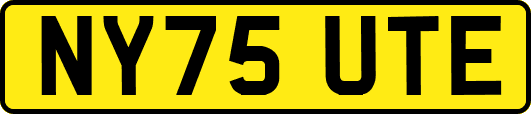 NY75UTE