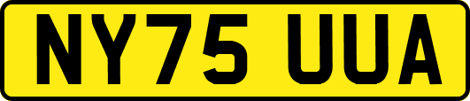 NY75UUA