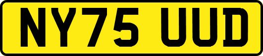 NY75UUD