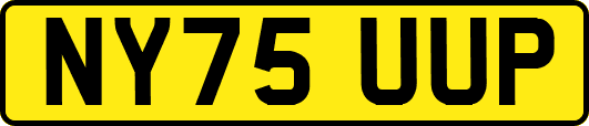 NY75UUP