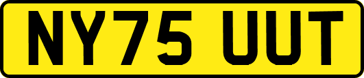 NY75UUT