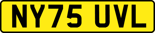 NY75UVL