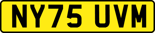 NY75UVM