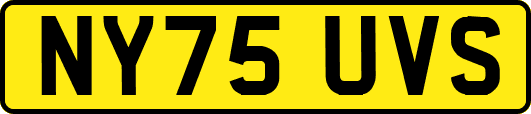 NY75UVS