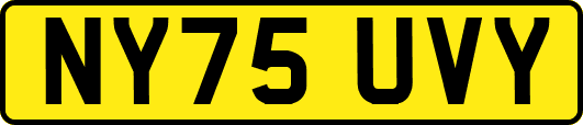 NY75UVY