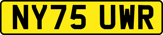 NY75UWR
