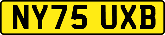 NY75UXB