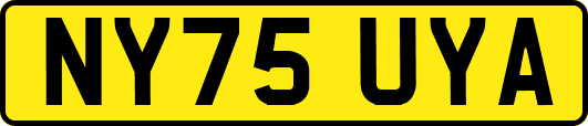 NY75UYA