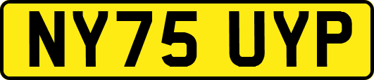 NY75UYP