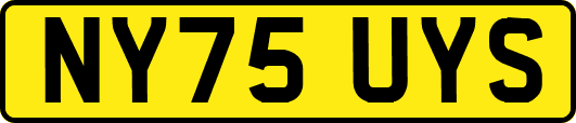 NY75UYS