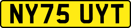 NY75UYT