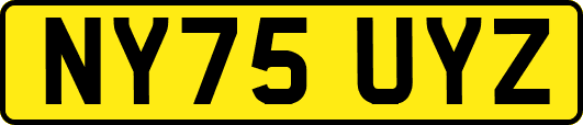 NY75UYZ