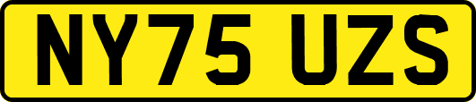 NY75UZS