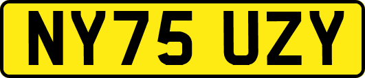 NY75UZY