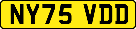 NY75VDD