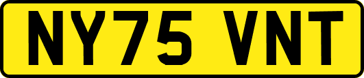 NY75VNT