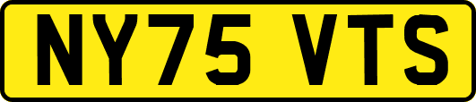 NY75VTS