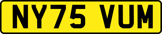NY75VUM