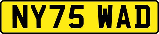 NY75WAD