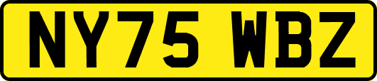 NY75WBZ