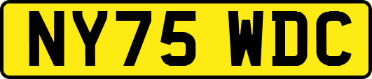 NY75WDC