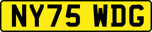 NY75WDG