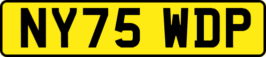 NY75WDP