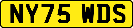 NY75WDS
