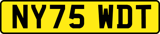 NY75WDT