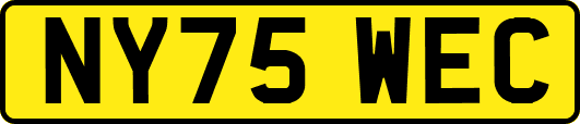 NY75WEC