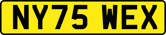 NY75WEX