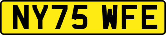 NY75WFE