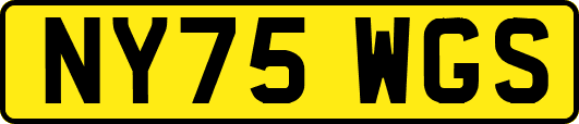 NY75WGS