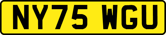 NY75WGU