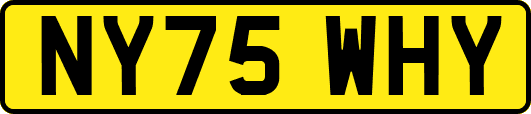NY75WHY