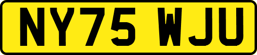 NY75WJU