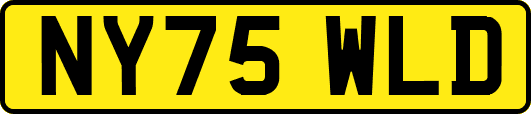 NY75WLD