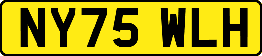 NY75WLH