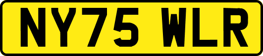 NY75WLR