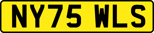 NY75WLS
