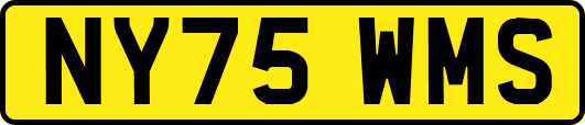 NY75WMS