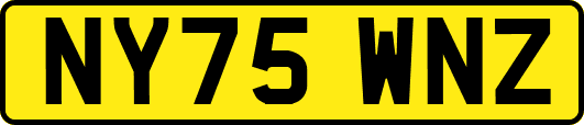 NY75WNZ